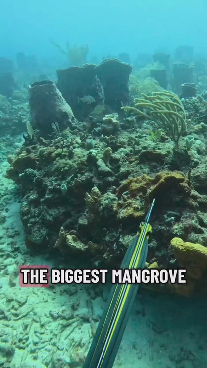 Booty Lift Float - Send Your Catch To The Surface!